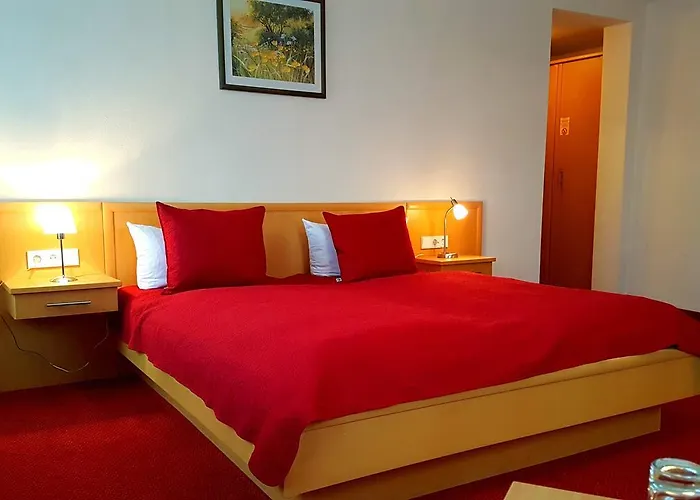 호텔 Hotel-gasthof Schwarzer Adler 3*